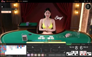Cách Chơi Baccarat Kim Tài Tại Betvip Lượm Tiền Triệu